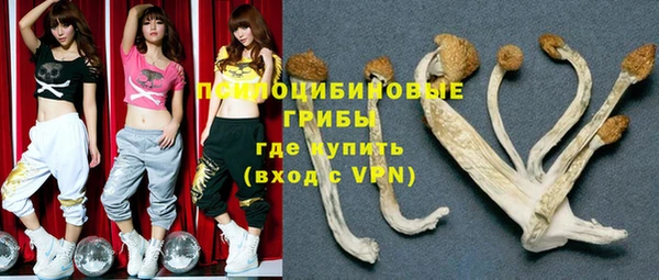 тгк Балахна