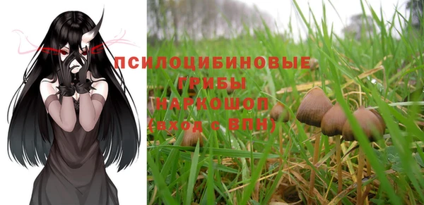 тгк Балахна