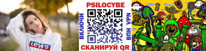 blacksprut ссылка дарк нет клад Октябрьск Псилоцибиновые грибы мицелий где можно купить наркотик